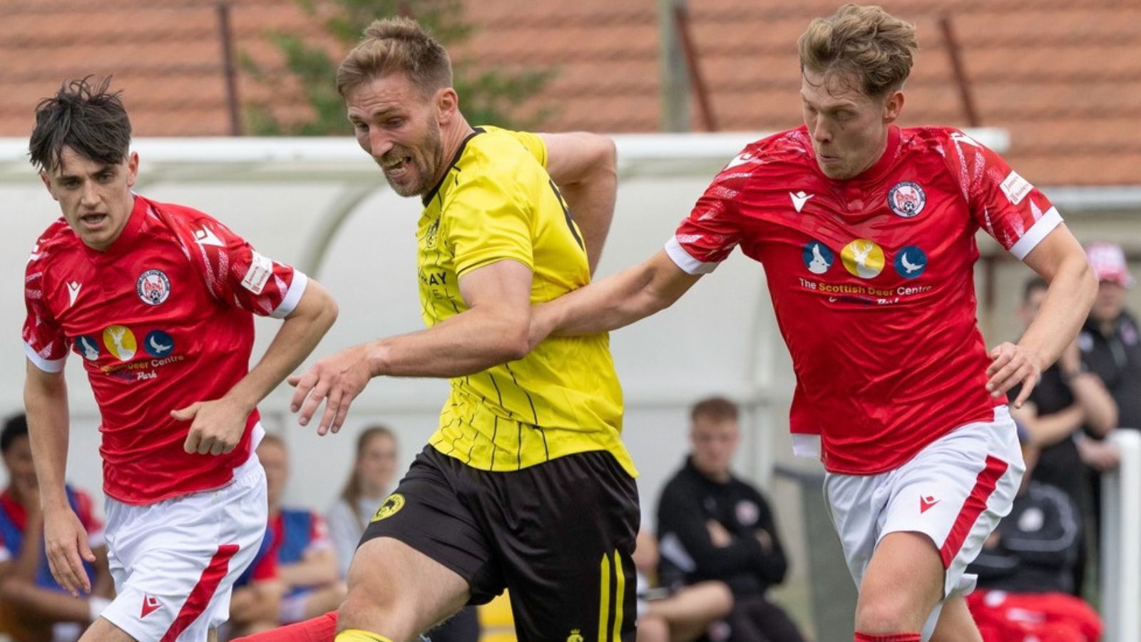 Nairn County 0 - 3 Brechin City